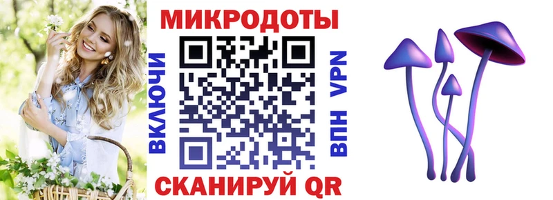 цена наркотик  Шиханы  Галлюциногенные грибы Psilocybe 